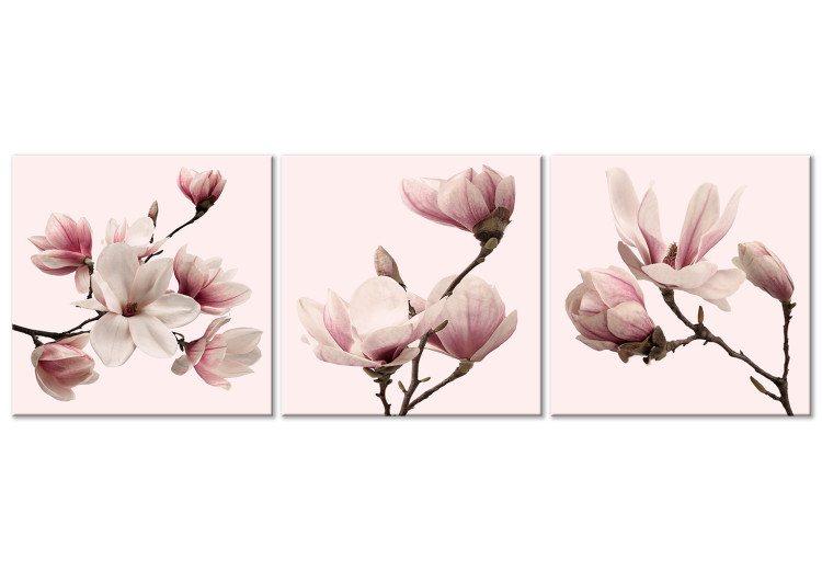 Canvas Pink Spectrum of Nature (3-part) - Delicate Magnolia Blossom 122780