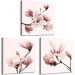 Canvas Pink Spectrum of Nature (3-part) - Delicate Magnolia Blossom 122780 additionalThumb 2