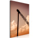 Canvas Crane against the sky - photo of the machine against the setting sun 124380 additionalThumb 2