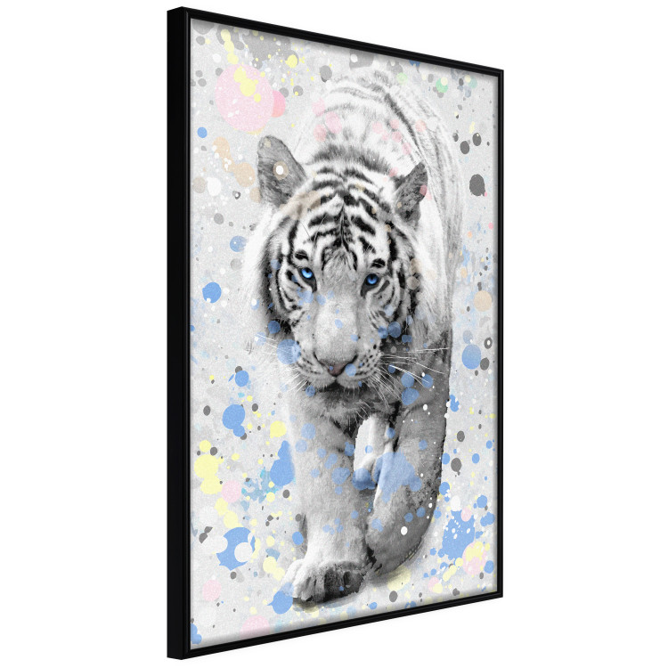 Wall Poster White Tiger - tropical animal on background of colorful watercolor dots 127880 additionalImage 13