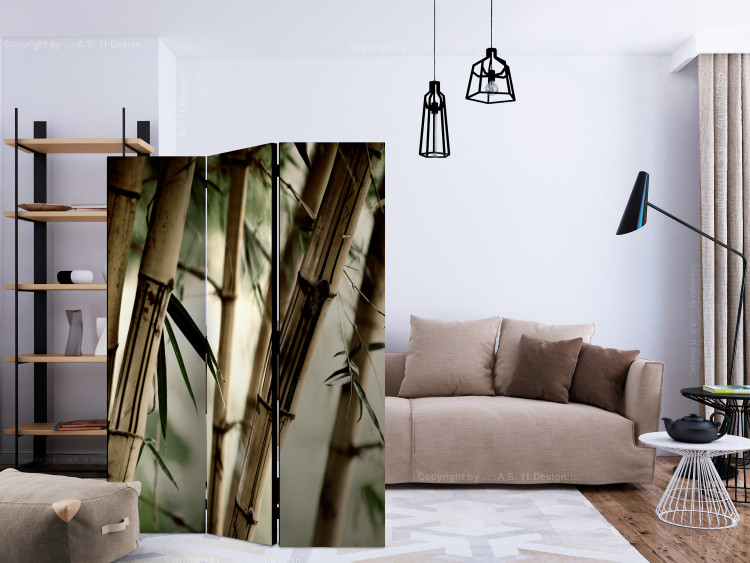 Room Separator Fog and bamboo forest [Room Dividers] 132580 additionalImage 4