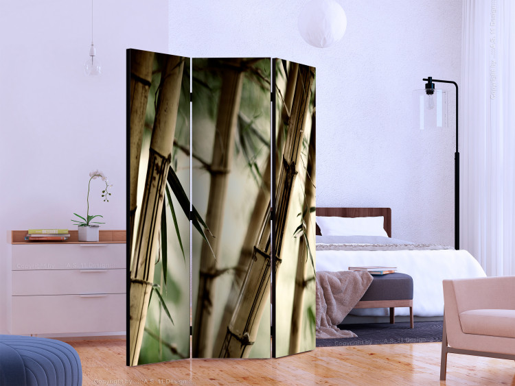 Room Separator Fog and bamboo forest [Room Dividers] 132580 additionalImage 2