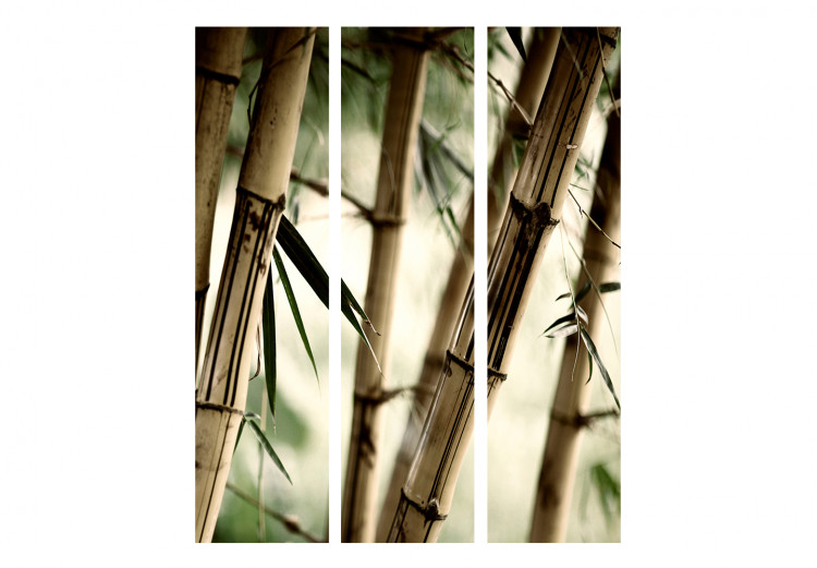 Room Separator Fog and bamboo forest [Room Dividers] 132580 additionalImage 3
