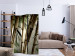 Room Separator Fog and bamboo forest [Room Dividers] 132580 additionalThumb 4