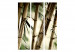 Room Separator Fog and bamboo forest [Room Dividers] 132580 additionalThumb 3