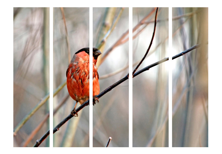 Room Divider Screen Bullfinch in the Forest II (5-piece) - red bird against trees 133380 additionalImage 3