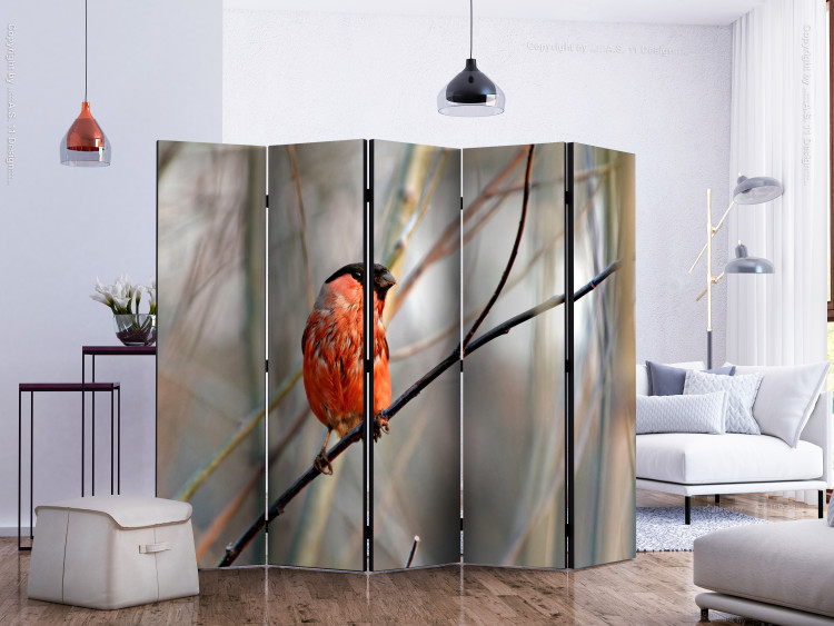 Room Divider Screen Bullfinch in the Forest II (5-piece) - red bird against trees 133380 additionalImage 2