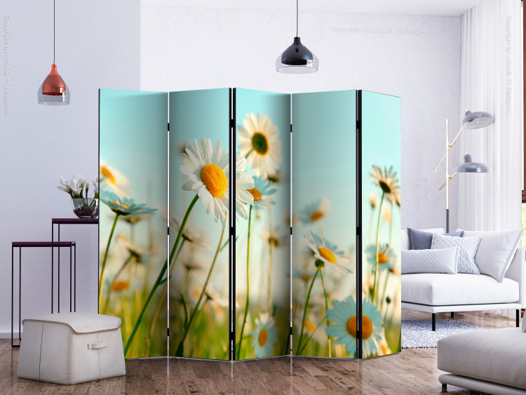 Room Divider Daisies - Spring Meadow II - meadow full of spring white flowers 133980 additionalImage 2