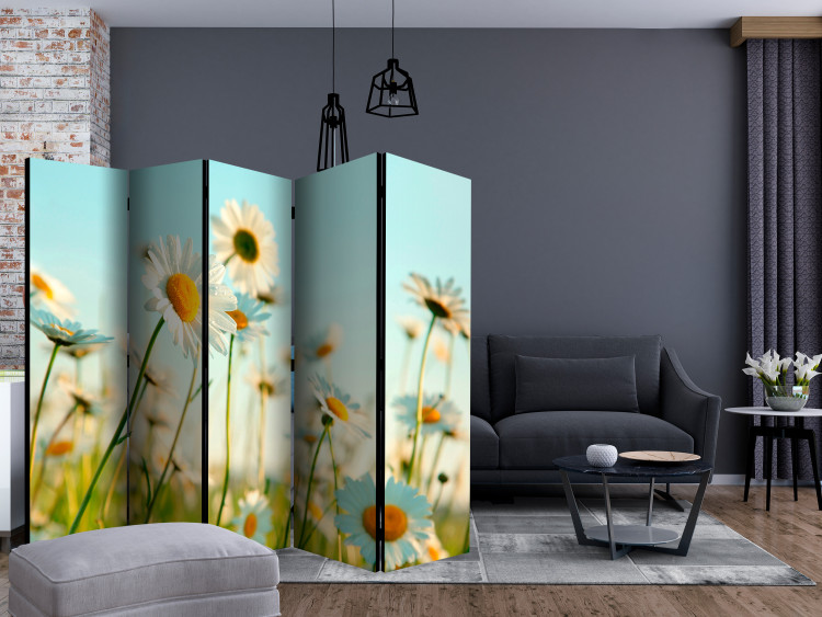 Room Divider Daisies - Spring Meadow II - meadow full of spring white flowers 133980 additionalImage 4