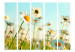 Room Divider Daisies - Spring Meadow II - meadow full of spring white flowers 133980 additionalThumb 3