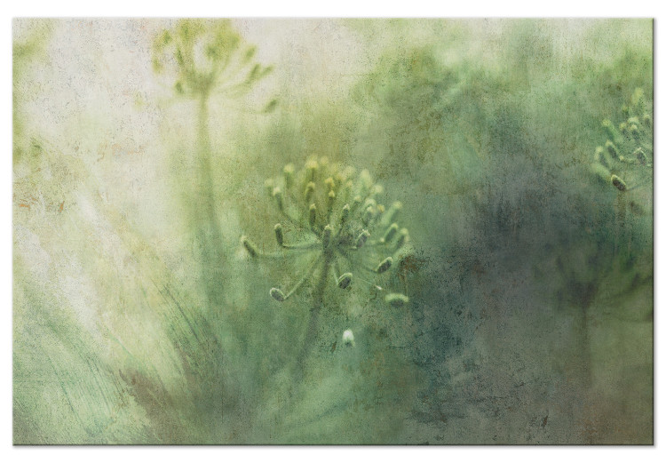 Canvas Art Print May flowers in the fog - graphics with green, wild flowers 135780