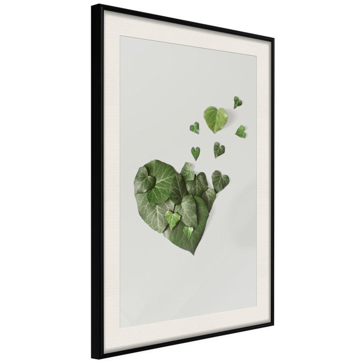 Poster Loving Ivy - beautiful composition with green plants on a white background 137280 additionalImage 19