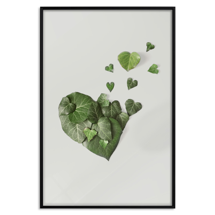 Poster Loving Ivy - beautiful composition with green plants on a white background 137280 additionalImage 7