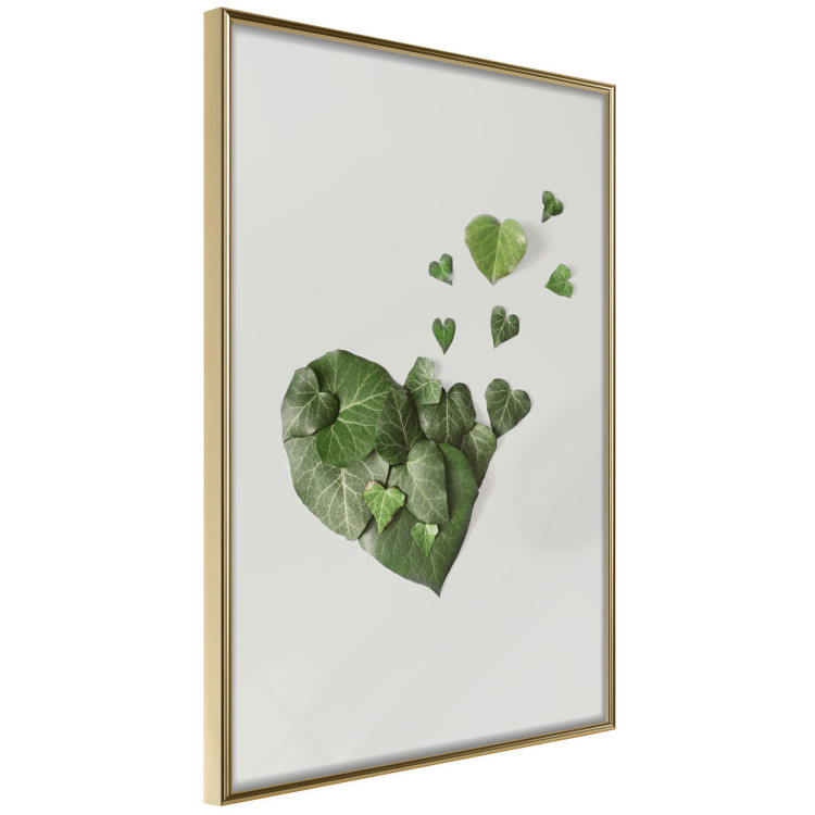 Poster Loving Ivy - beautiful composition with green plants on a white background 137280 additionalImage 22