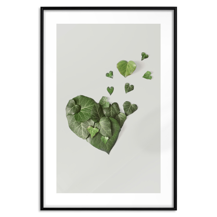 Poster Loving Ivy - beautiful composition with green plants on a white background 137280 additionalImage 3