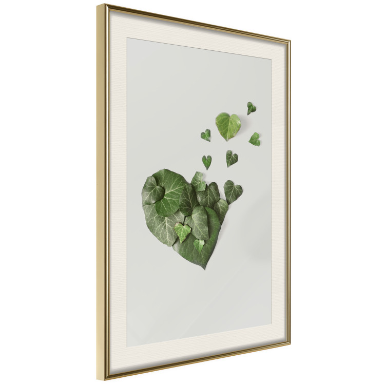 Poster Loving Ivy - beautiful composition with green plants on a white background 137280 additionalImage 18