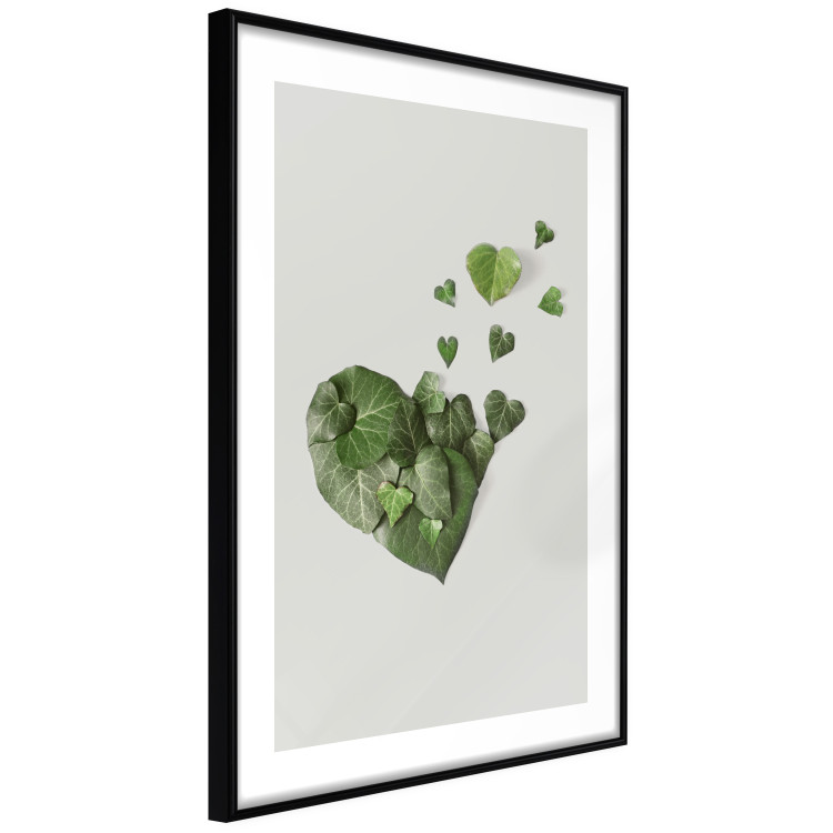Poster Loving Ivy - beautiful composition with green plants on a white background 137280 additionalImage 14