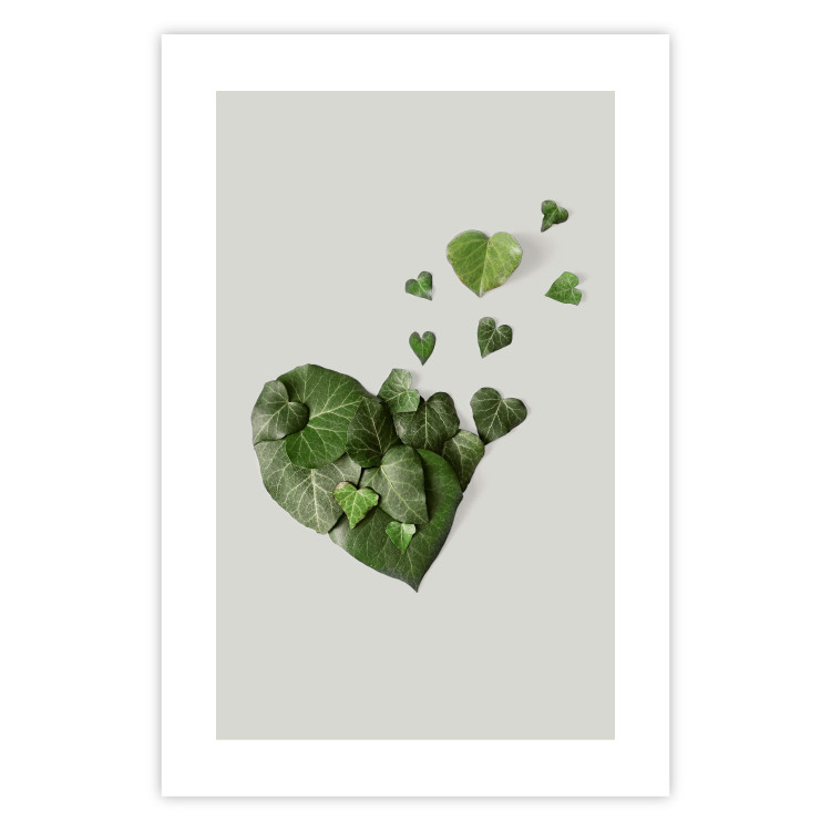 Poster Loving Ivy - beautiful composition with green plants on a white background 137280 additionalImage 6