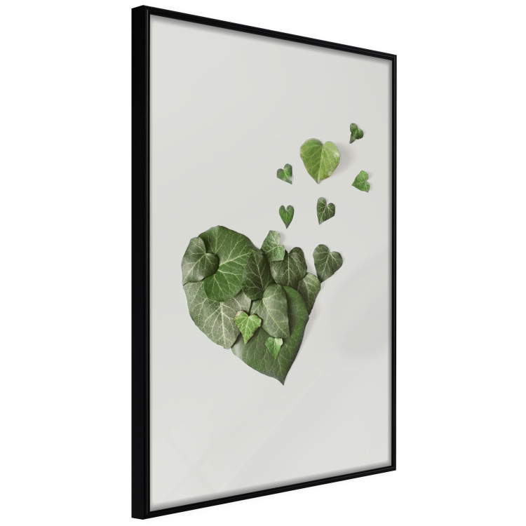 Poster Loving Ivy - beautiful composition with green plants on a white background 137280 additionalImage 16