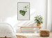 Poster Loving Ivy - beautiful composition with green plants on a white background 137280 additionalThumb 27