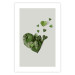 Poster Loving Ivy - beautiful composition with green plants on a white background 137280 additionalThumb 6