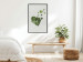 Poster Loving Ivy - beautiful composition with green plants on a white background 137280 additionalThumb 10