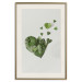 Poster Loving Ivy - beautiful composition with green plants on a white background 137280 additionalThumb 2