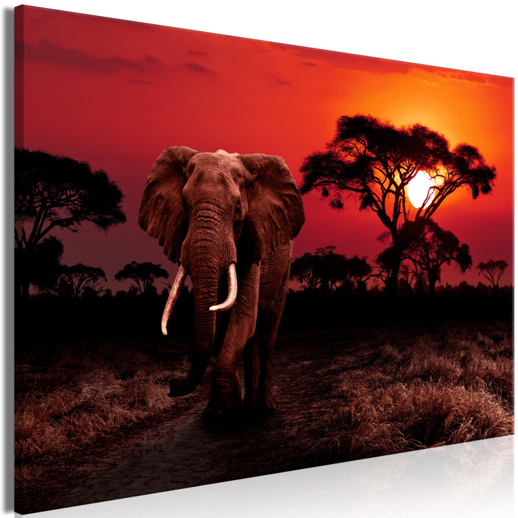 Canvas Art Print African Trek (1-piece) Wide - second variant - walking elephant 143680 additionalImage 2