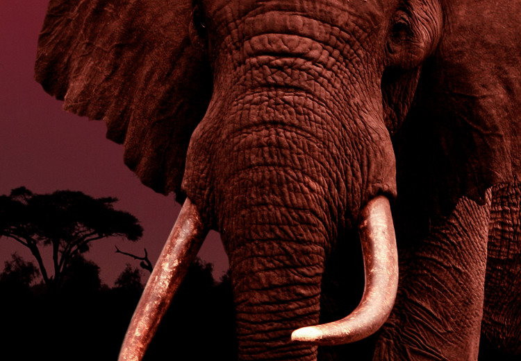 Canvas Art Print African Trek (1-piece) Wide - second variant - walking elephant 143680 additionalImage 4