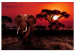 Canvas Art Print African Trek (1-piece) Wide - second variant - walking elephant 143680