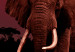 Canvas Art Print African Trek (1-piece) Wide - second variant - walking elephant 143680 additionalThumb 4