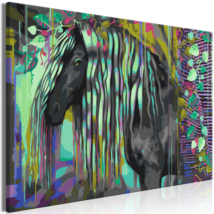 Paint by Number Kit Dark Beauty - Long Haired Horse on an Abstract Colored Background 144080 additionalImage 5