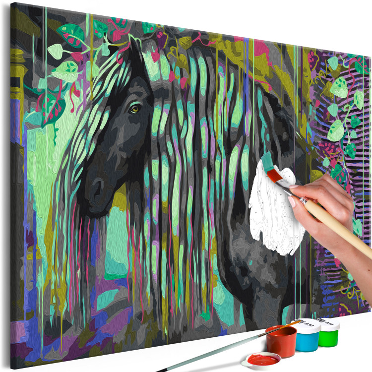 Paint by Number Kit Dark Beauty - Long Haired Horse on an Abstract Colored Background 144080 additionalImage 3