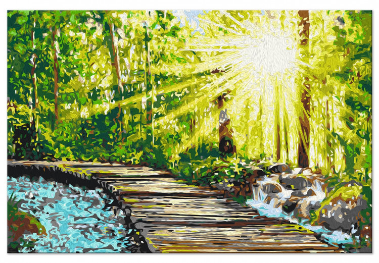 Paint by Number Kit Walk in the Forest - Wooden Path Among Trees and a Stream 148880 additionalImage 6
