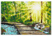 Paint by Number Kit Walk in the Forest - Wooden Path Among Trees and a Stream 148880 additionalThumb 6
