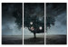 Canvas Print Apocalypse now - triptych 56080