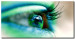 Canvas Turquoise eye 58880