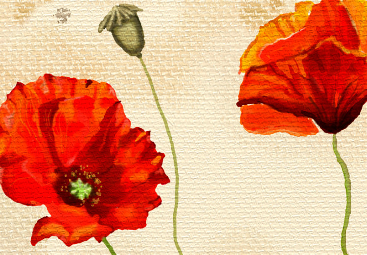 Canvas Art Print Tears of Poppies 90480 additionalImage 5