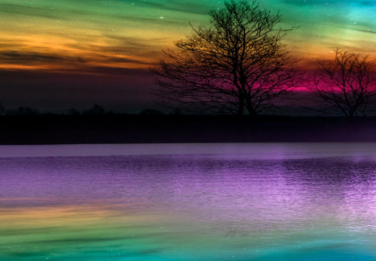 Canvas Rainbow Aurora (1 Part) Narrow 108490 additionalImage 5