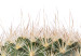 Wall Poster Cactus with Eyes - funny little prickly plant on a solid background 116890 additionalThumb 11
