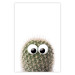 Wall Poster Cactus with Eyes - funny little prickly plant on a solid background 116890