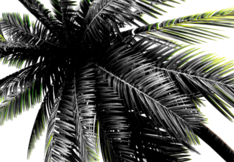 Poster Carefree Moments - tropical palms and black inscriptions on a white background 122290 additionalImage 9