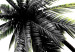 Poster Carefree Moments - tropical palms and black inscriptions on a white background 122290 additionalThumb 9