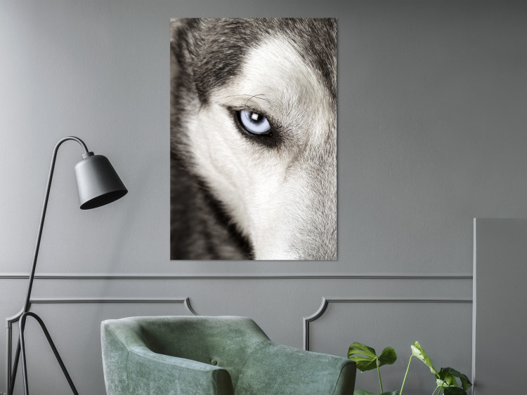 Wall Poster Dog's Gaze - black and white dog face with distinct white eye 123990 additionalImage 17