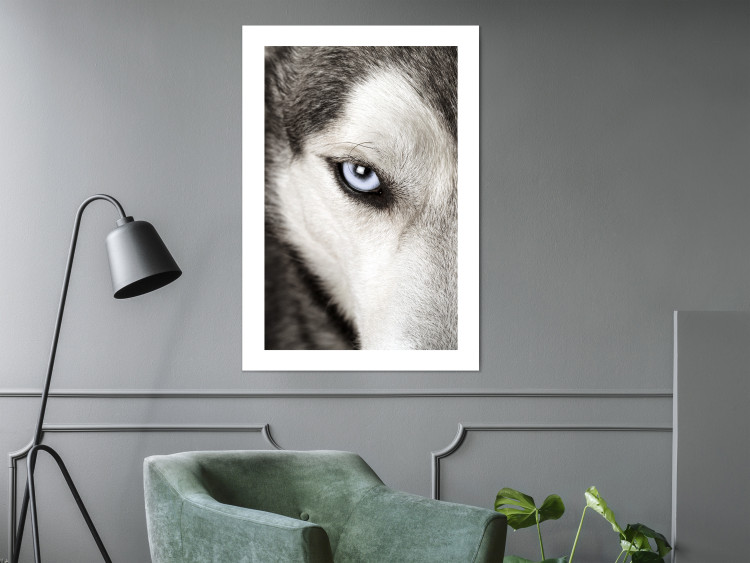 Wall Poster Dog's Gaze - black and white dog face with distinct white eye 123990 additionalImage 2