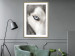 Wall Poster Dog's Gaze - black and white dog face with distinct white eye 123990 additionalThumb 13
