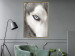 Wall Poster Dog's Gaze - black and white dog face with distinct white eye 123990 additionalThumb 5