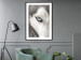 Wall Poster Dog's Gaze - black and white dog face with distinct white eye 123990 additionalThumb 4