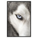 Wall Poster Dog's Gaze - black and white dog face with distinct white eye 123990 additionalThumb 18