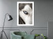 Wall Poster Dog's Gaze - black and white dog face with distinct white eye 123990 additionalThumb 2